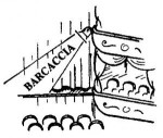 immagine rappresentativa della notizia